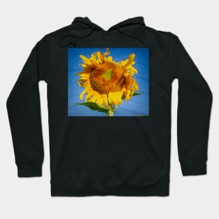 A Breath Of Fresh Air Hoodie